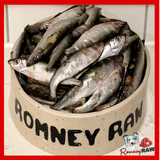 Dougie's - Whole Sprats - 1kg