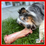 Dougie's - Beef Marrow Bones - Pair