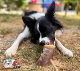 Durham Animal Feeds - Tripe Filled Cow Hooves - 4 Pack