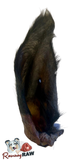 Nova Dog Chews - Hairy Buffalo Ears - Single