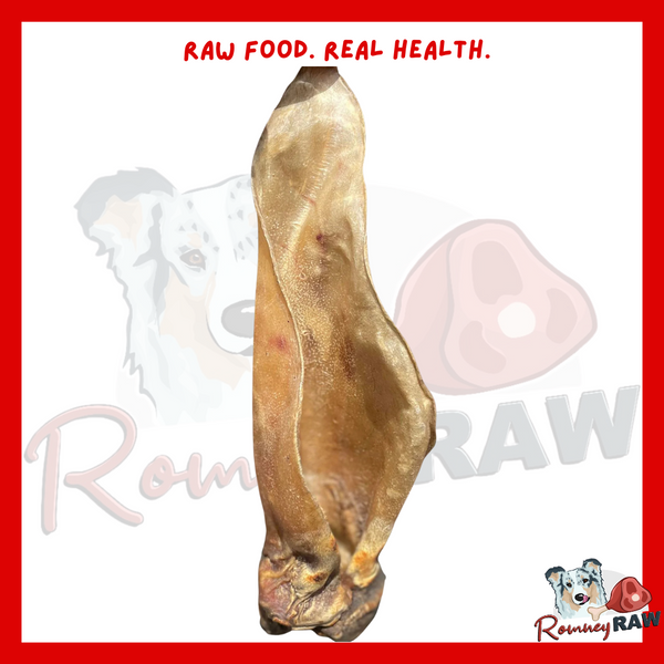 JR Pet Products - XL Cow Ear - Single
