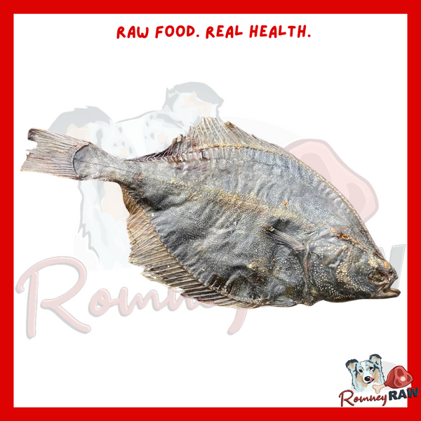 Just 'Ere Fot Treats - Flounder Fish - Single