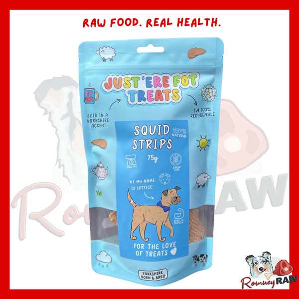 Just 'Ere Fot Treats - Squid Strips - 75g