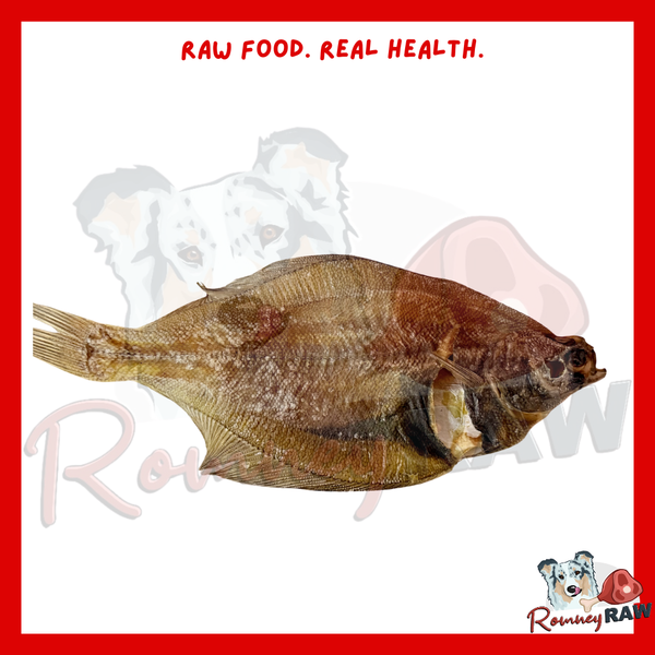 K9 Instinct - Whole Dab Dried Fish - Single – Romney Raw