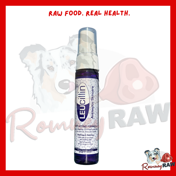 Leucillin Antiseptic Skin Care Solution Spray 60ml