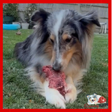Naked Dog - Extra Meaty Venison Neck - Duo Pack