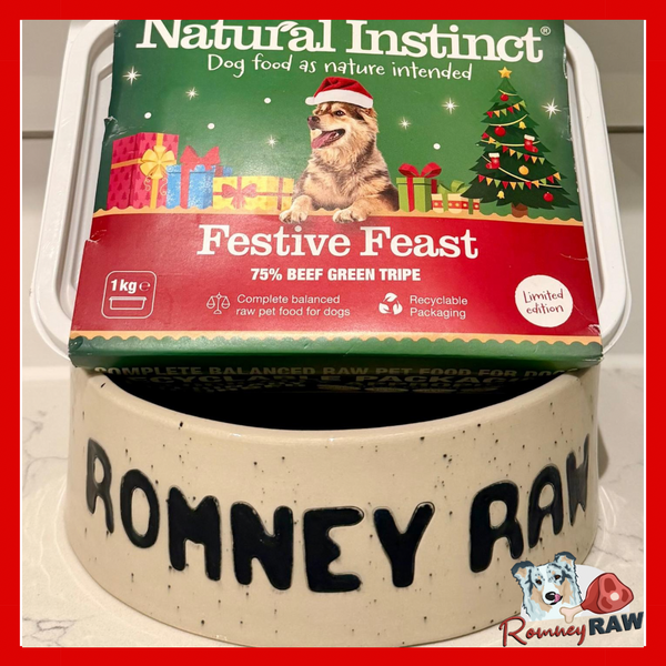 Natural Instinct - Christmas Special - Festive Feast - 1kg