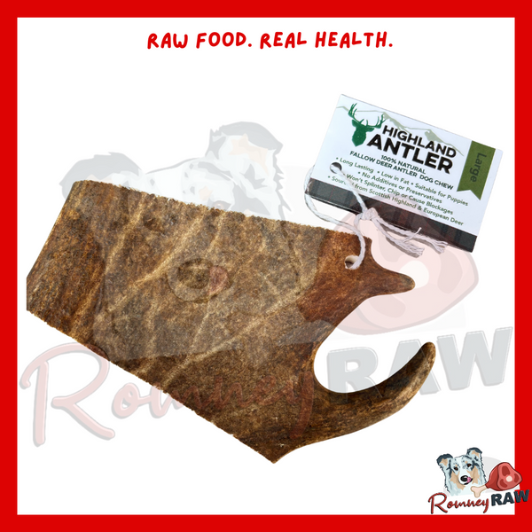 Nova Dog Chews - Large Fallow Antler