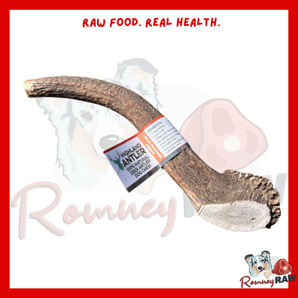 Nova Dogs Chews Antler - Jumbo