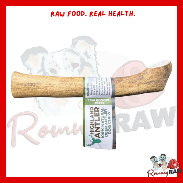 Nova Dog Chews Antler - Large