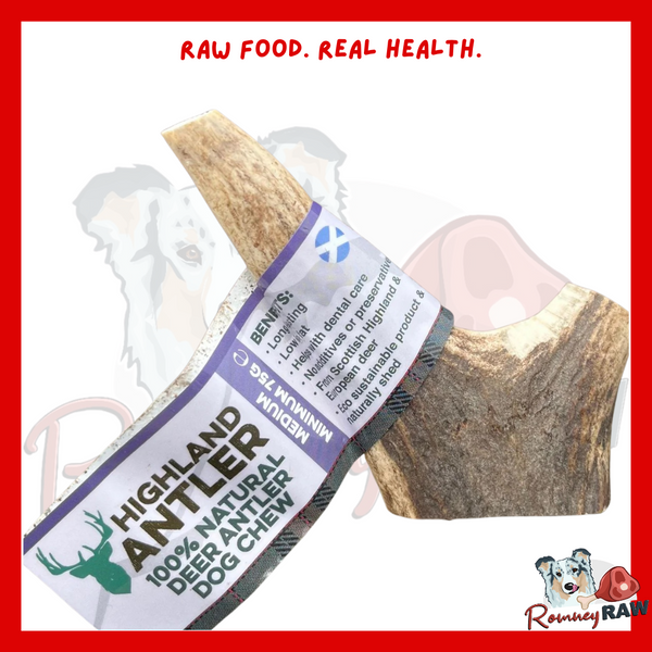 Nova Dog Chews Antler - Medium