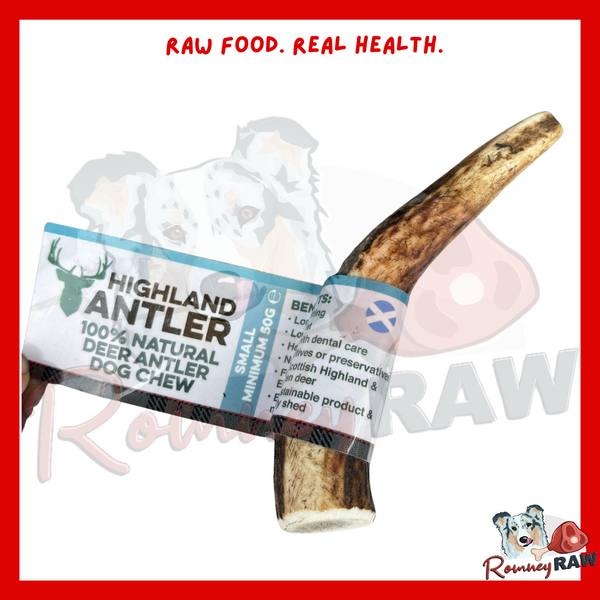 Nova Dog Chews Antler - Small