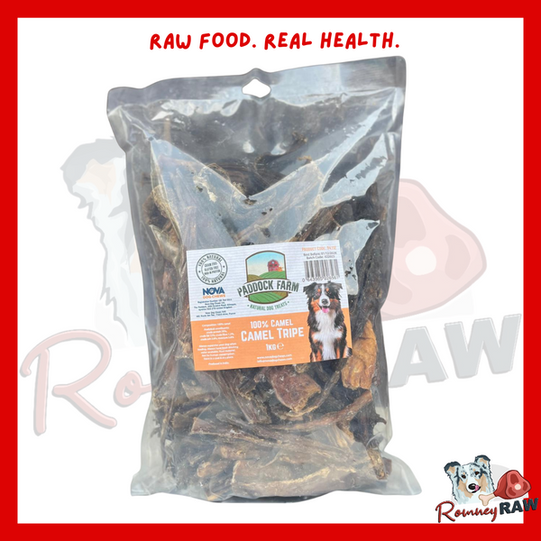 Nova Dog Chews - Camel Tripe - 1kg