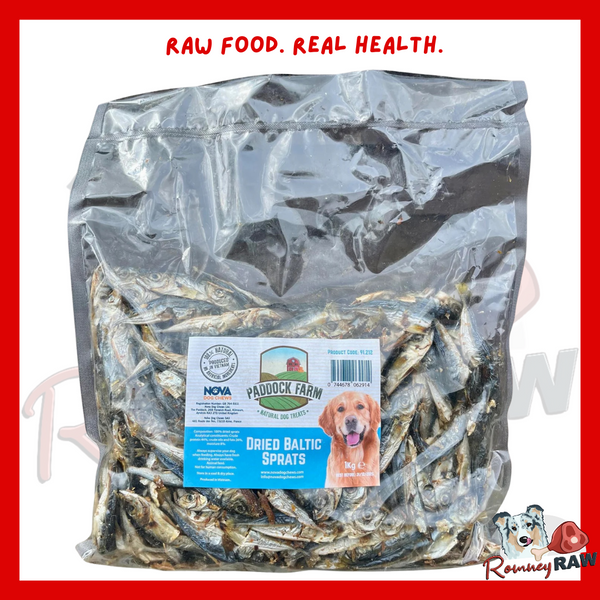 Nova Dog Chews - Dried XL Baltic Sprats - 1kg