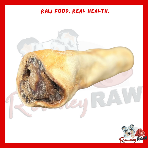 Nova Dog Chews -  Jumbo Beef Tails - Single