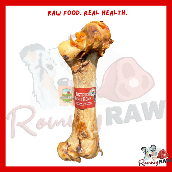Nova Dog Chews - Ostrich Dino Bone