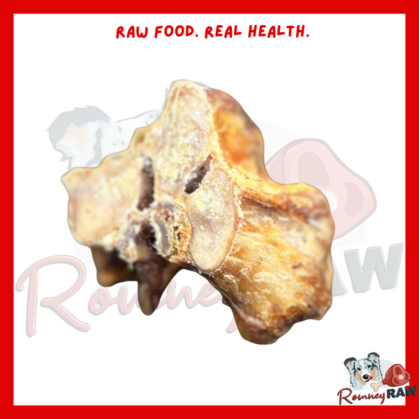 Nova Dog Chews - Ostrich Knuckle Bone - Small