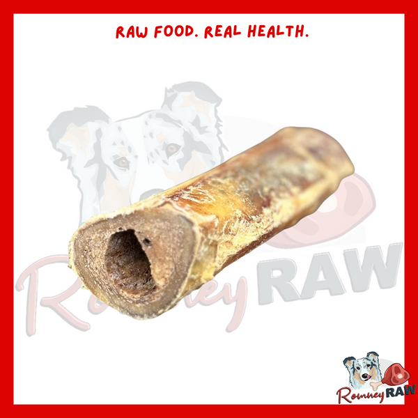 Nova Dog Chews - Ostrich Marrow Bone