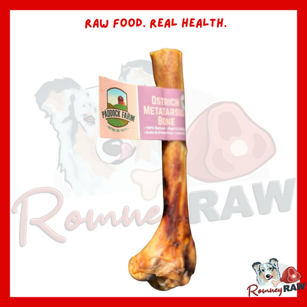 Nova Dog Chews - Ostrich Metatarsus Bone