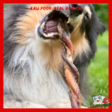 Nova Dog Chews - Twisted Bully Pizzle - Single - 24cm