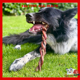 Nova Dog Chews - Twisted Bully Pizzle - Single - 24cm