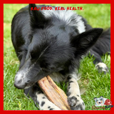 Nova Dog Chews - Ostrich Marrow Bone