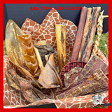 Romney Raw - Wild Safari Variety Box