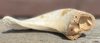Anco Naturals Lamb Horn Marrows