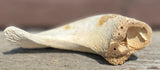 Anco Naturals Lamb Horn Marrows