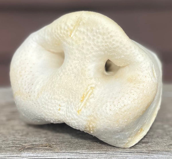 Anco Naturals Puffed Pig Snout
