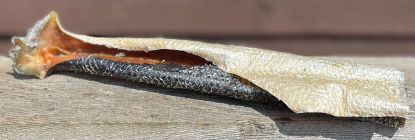 Anco Oceans Salmon Skin Rolls