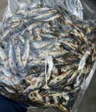 Nova Dog Chews Dried XL Baltic Sprats 1kg