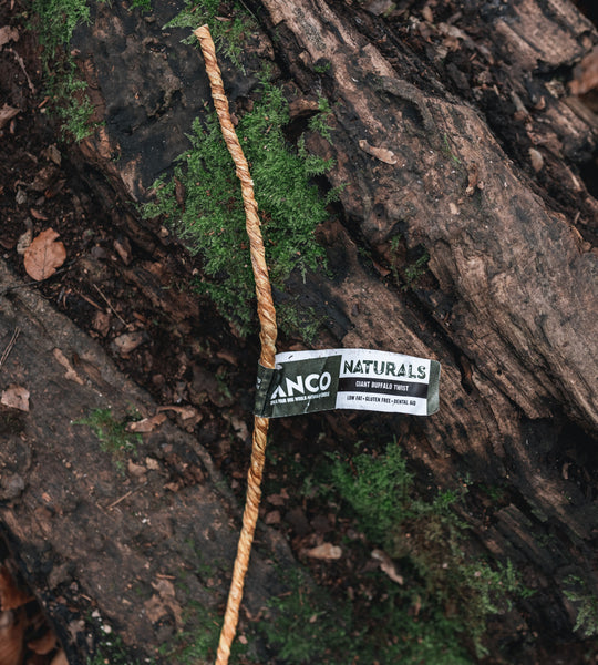 Anco Naturals Giant Buffalo Twists