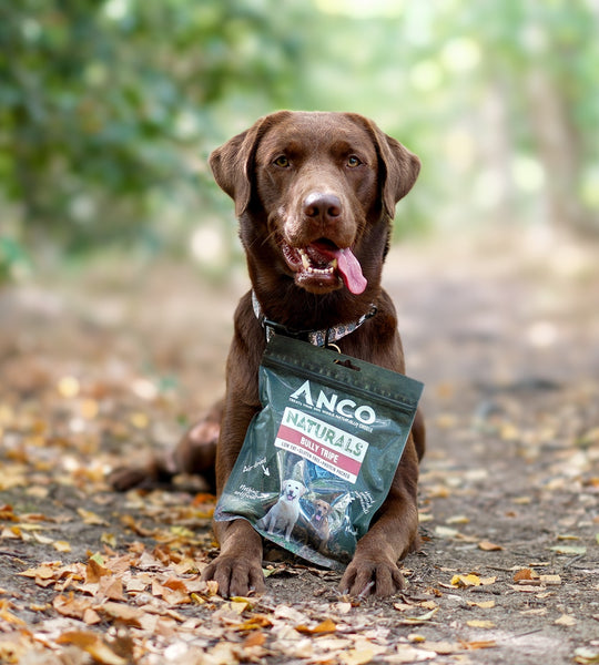 Anco Naturals Bully Tripe 100g