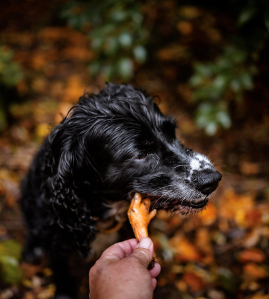 Anco Naturals Chicken Feet Singles
