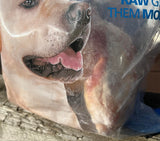 Durham Animal Feeds -Raw Beef Knuckle Bones - Single