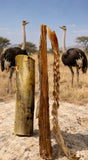 Romney Raw - Wild Safari Variety Box