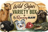 Romney Raw - Wild Safari Variety Box