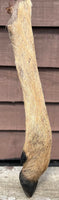 Anco Naturals Hairy Roe Deer Leg