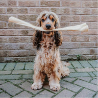 Anco Naturals Giant Buffalo Stick