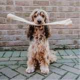Anco Naturals Giant Buffalo Stick