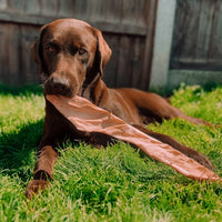 Anco Naturals Giant Buffalo Stick
